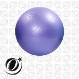 SFGB-300 Anti-Bust Gym Ball